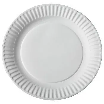 Aspen E30300 00065 100 Ct 9" White Uncoated Paper Disposable Dinner Plates - Quantity Of 12 Packs 1
