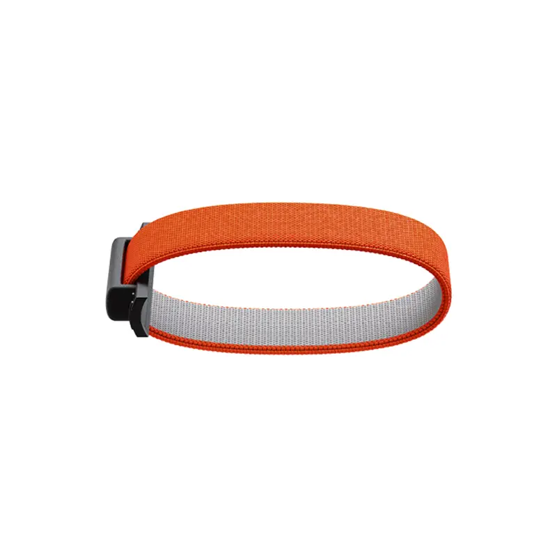 Bandwallet Add On 1