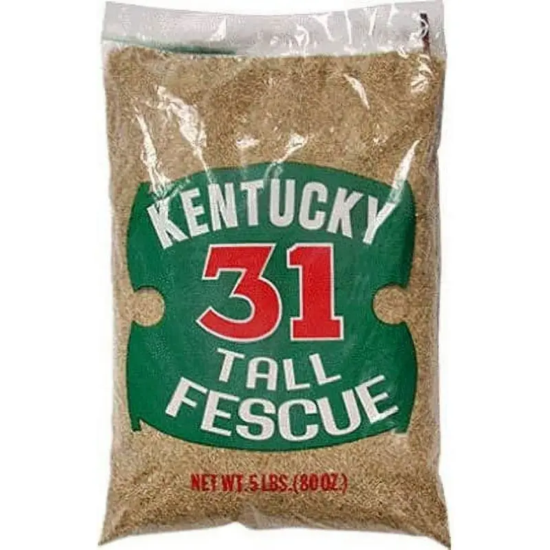 Barenbrug 16205 5 Lb Bag Of Kentucky 31 Tall Fescue Grass Sun Or Shade Grass Seed 1