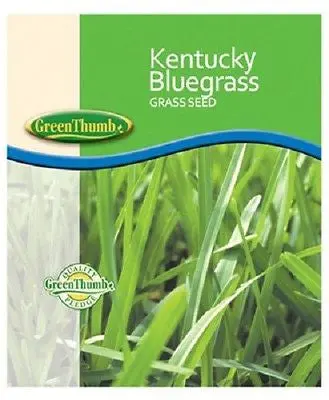 Barenbrug 491123 50 Lb Bulk Bag 85/80 Kentucky Bluegrass Grass Seed - Quantity Of 1 Bag 1