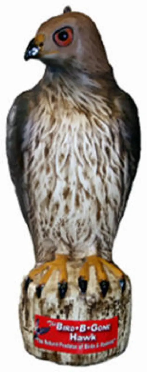 Bird B Gone Mmrth1 Heavy Duty Plastic Hawk Decoy - Quantity Of 6 1