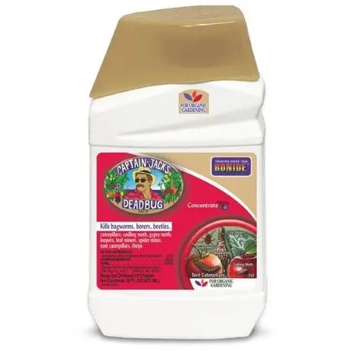 Bonide 2526 16 Oz Bottle Of Captain Jack's Dead Bug Brew Organic Insecticide Concentrate 1