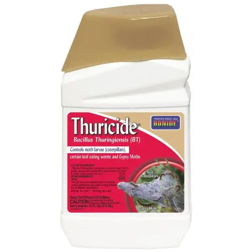 Bonide 8036 16 Oz Bottle Of Concentrate Thuricide Bt Liquid Insect Control 1