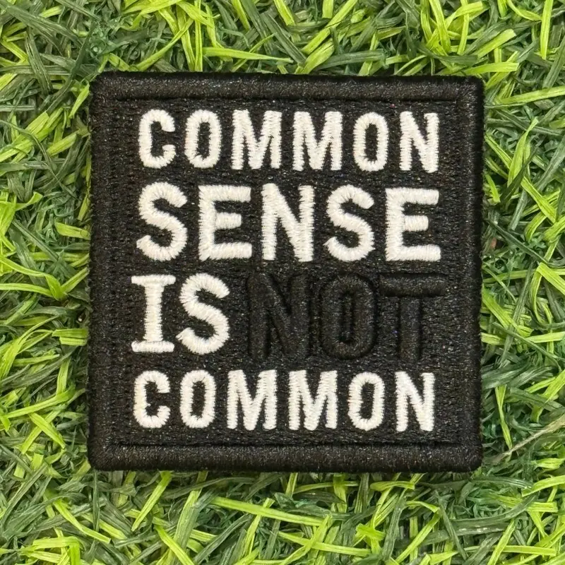 Common Sense Is Not Common Morale Patch 1