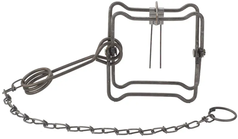 Duke 0400 4.5" Jaw Spread Muskrat, Mink & Weasel Animal Body Trap - Quantity Of 8 1