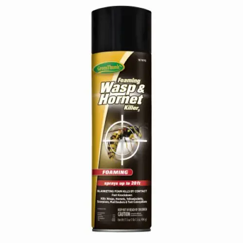 Green Thumb Hg-187976 17.5 Oz Can Of Foaming Wasp & Hornet Spray - Quantity Of 2 1