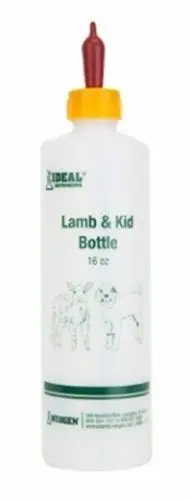 Ideal 7004 16 Oz Size Lamb & Kid Screw On Top Nursing Bottle 1