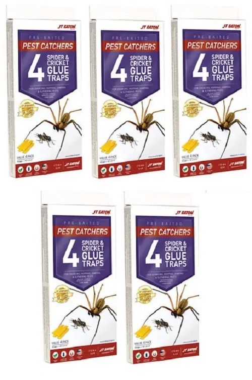 Jt Eaton 844 4 Pack Of Spider & Cricket Insect Glue Traps - Quantity Of 5 1