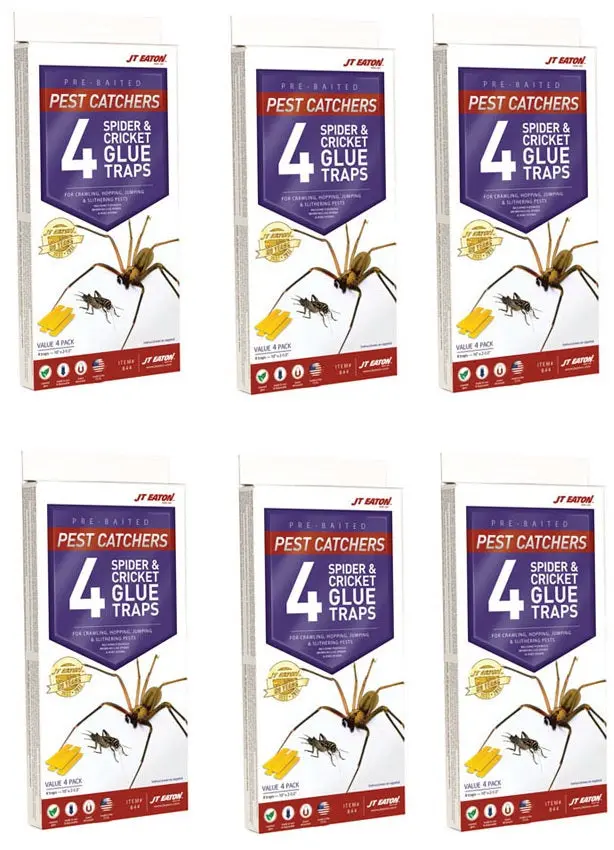 Jt Eaton 844 4 Pack Of Spider & Cricket Insect Glue Traps - Quantity Of 6 1