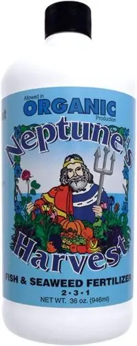 Neptune's Harvest Fs136 36 Oz Bottle Of Organic Fish & Seaweed 2-3-1 Fertilizer 1