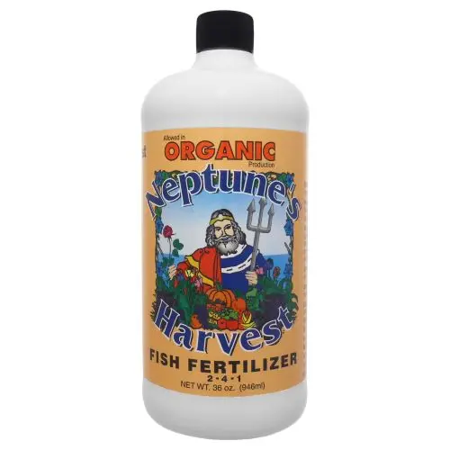 Neptune's Harvest Hf136 36 Oz Bottle Of Organic 2-4-1 Hydrolyzed Concentrated Fish Fertilizer 1