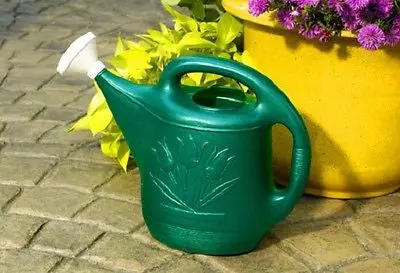 Novelty Mfg 30301 2 Gallon , 8L Green Plastic Watering / Sprinkling Cans - Quantity Of 2 1