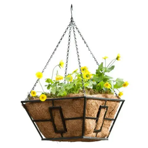 Panacea 87850Gt 14" Square Black Steel Hanging Plant Basket - Quantity Of 12 1