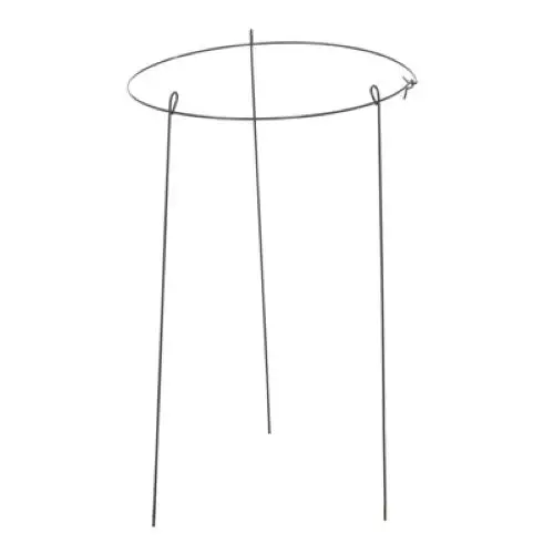 Panacea 89321Gt 14" Wide X 24" Tall Single Ring Green Peony Hoop Plant Support - Quantity Of 12 1