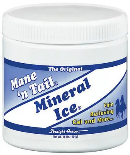 Straight Arrow 300106 16 Oz Container Of Mane 'N Tail Mineral Ice Horse Pain Relieving Gel - Quantity Of 1 1