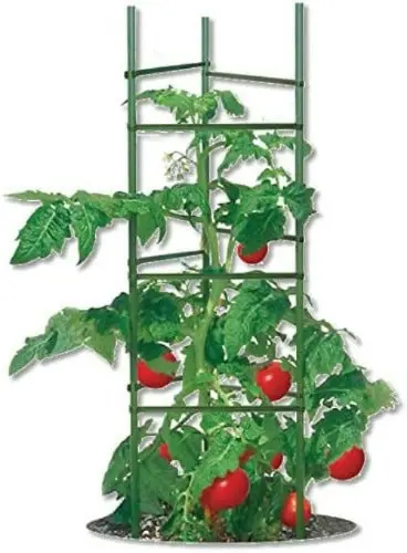 Ultomato Tmc60 Ultimate Tomato Cage Support Stake Kit - Quantity Of 1 1