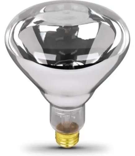 Westinghouse 0391048 250-Watt R40 Clear Dimmable Infrared Heat Lamp Bulb 1