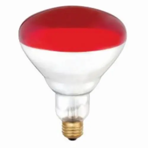 Westinghouse 0397948 6-Count Pack Of 250W R40 Red Infrared Heat Lamp Bulbs 1
