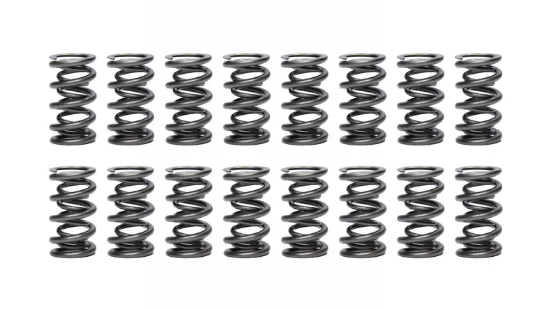 Pac Racing Pac-1356 Dual Valve Spring Kit – 1.500 Inch Diameter (16-Pack) 1
